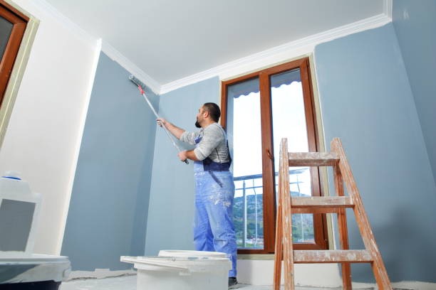 Best Environmental Consulting for Mold Prevention  in St Albans, VT