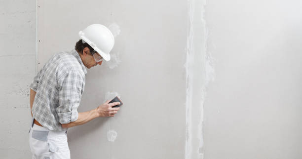 Best Real Estate Mold Inspection  in St Albans, VT