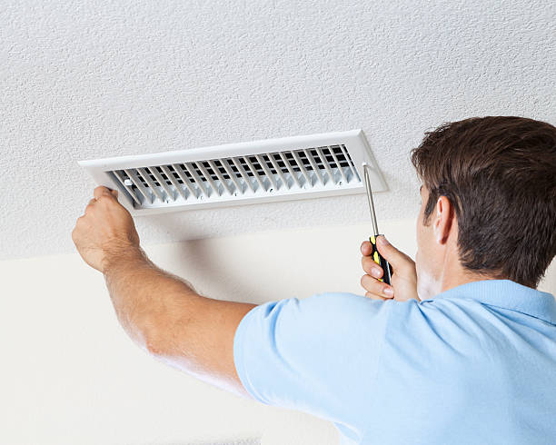 Best Basement Mold Removal  in St Albans, VT