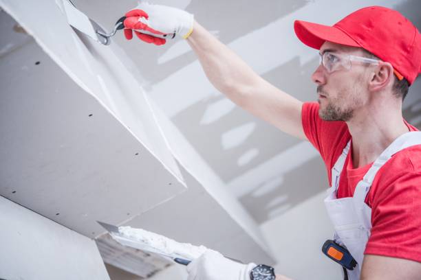 Best Mold Removal for HVAC Installations  in St Albans, VT
